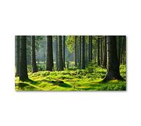 Tulup Splashback 39.37x19.68 inch / 100x50cm Splash-back Kitchen Panel Toughened Safe Glass Tempered Glass Kitchen Protection Induction Cooker Wall Protection Glass Panel - Green - spruce forest