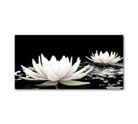 Tulup Splashback 39.37x19.68 inch / 100x50cm Splash-back Kitchen Panel Toughened Safe Glass Tempered Glass Kitchen Protection Induction Cooker Wall Protection Glass Panel - White - water lilies