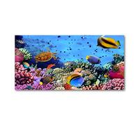 Tulup Splashback 39.37x19.68 inch / 100x50cm Splash-back Kitchen Panel Toughened Safe Glass Tempered Glass Panel Wall Protection Induction Cooker Kitchen - Multicolored - coral reef