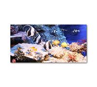 Tulup Splashback 39.37x19.68 inch / 100x50cm Tempered Glass Wall Protection Induction Cooker Glass Panel Splash-back Kitchen Panel Kitchen Toughened Safe Glass - Multicolored - coral reef