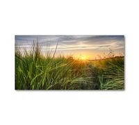 Tulup Splashback 39.37x19.68 inch / 100x50cm Wall Protection Kitchen Panel Toughened Safe Glass Kitchen Protection Induction Cooker Glass Panel Splash-back Tempered Glass - Green - wheat field