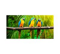Tulup Splashback 39.37x19.68 inch / 100x50cm Wall Protection Tempered Glass Kitchen Panel Toughened Safe Glass Panel Protection Induction Cooker Kitchen Splash-back - Multicolored Parrots on AST