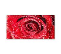 Tulup Splashback 39.37x19.68 inch / 100x50cm Wall Protection Toughened Safe Glass Splash-back Kitchen Panel Tempered Glass Kitchen Protection Induction Cooker Glass Panel - Red - Water Drop Rose