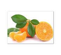 Tulup Splashback 39.37x27.56 inch / 100x70 cm Glass Panel Tempered Glass Kitchen Panel Splash back Kitchen Protection Induction Cooker Wall Protection Toughened Safe Glass - Orange - Citrus fruits