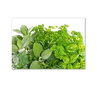 Tulup Splashback 39.37x27.56 inch / 100x70 cm Glass Panel Wall Protection Induction Cooker Tempered Glass Toughened Safe Glass Kitchen Panel Splash back Kitchen - Green - herbs