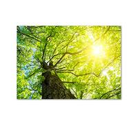 Tulup Splashback 39.37x27.56 inch / 100x70 cm Glass Panel Wall Protection Induction Cooker Tempered Glass Toughened Safe Glass Kitchen Panel Splash back Kitchen - Green - chestnut tree