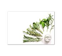 Tulup Splashback 39.37x27.56 inch / 100x70 cm Glass Panel Wall Protection Induction Cooker Tempered Glass Toughened Safe Glass Kitchen Panel Splash back Kitchen - Green - herbs