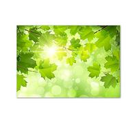 Tulup Splashback 39.37x27.56 inch / 100x70 cm Glass Panel Wall Protection Induction Cooker Tempered Glass Toughened Safe Glass Kitchen Panel Splash back Kitchen - Green - chestnut leaves