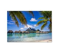 Tulup Splashback 39.37x27.56 inch / 100x70 cm Kitchen Protection Induction Cooker Wall Protection Glass Panel Tempered Glass Toughened Safe Glass Kitchen Panel Splash back - Multicolored - Palms Bora Bora