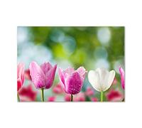 Tulup Splashback 39.37x27.56 inch / 100x70 cm Protection Induction Cooker Toughened Safe Glass Kitchen Kitchen Panel Wall Protection Tempered Glass Splash back Glass Panel - Pink tulips