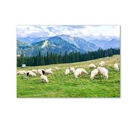 Tulup Splashback 39.37x27.56 inch / 100x70 cm Protection Induction Cooker Toughened Safe Glass Kitchen Kitchen Panel Wall Protection Tempered Glass Splash back Glass Panel - Green - sheep mountains Tatras