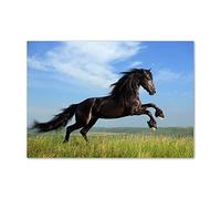 Tulup Splashback 39.37x27.56 inch / 100x70 cm Protection Induction Cooker Toughened Safe Glass Kitchen Kitchen Panel Wall Protection Tempered Glass Splash Back Glass Panel - Black - bap Meadow