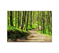 Tulup Splashback 39.37x27.56 inch / 100x70 cm Protection Induction Cooker Toughened Safe Glass Kitchen Kitchen Panel Wall Protection Tempered Glass Splash back Glass Panel - Green - path in the forest