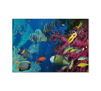 Tulup Splashback 39.37x27.56 inch / 100x70 cm Splash back Kitchen Panel Toughened Safe Glass Tempered Glass Kitchen Protection Induction Cooker Wall Protection Glass Panel - Multicolored - coral reef