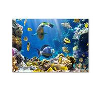 Tulup Splashback 39.37x27.56 inch / 100x70 cm Splash Back Kitchen Panel Toughened Safe Glass Tempered Glass Kitchen Protection Induction Cooker Wall Protection Glass Panel - Multicolored - Coral Reef