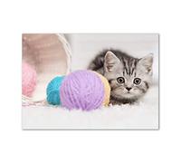 Tulup Splashback 39.37x27.56 inch / 100x70 cm Splash back Kitchen Panel Toughened Safe Glass Tempered Glass Panel Wall Protection Induction Cooker Kitchen - Multicolored - Cat Woolen ball