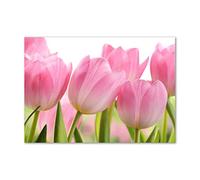 Tulup Splashback 39.37x27.56 inch / 100x70 cm Splash back Kitchen Panel Toughened Safe Glass Tempered Glass Kitchen Protection Induction Cooker Wall Protection Glass Panel - Rosa - pink tulips