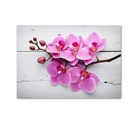 Tulup Splashback 39.37x27.56 inch / 100x70 cm Splash back Kitchen Panel Toughened Safe Glass Tempered Glass Kitchen Protection Induction Cooker Wall Protection Glass Panel - Pink orchid on wood