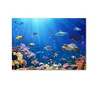 Tulup Splashback 39.37x27.56 inch / 100x70 cm Tempered Glass Wall Protection Induction Cooker Glass Panel Splash back Kitchen Panel Kitchen Toughened Safe Glass - Blue - coral reef