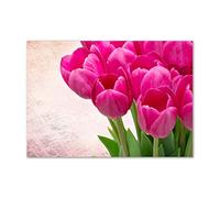 Tulup Splashback 39.37x27.56 inch / 100x70 cm Tempered Glass Wall Protection Induction Cooker Glass Panel Splash back Kitchen Panel Kitchen Toughened Safe Glass - Purple - pink tulips