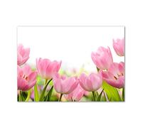 Tulup Splashback 39.37x27.56 inch / 100x70 cm Toughened Safe Glass Wall Protection Kitchen Splash back Glass Panel Protection Induction Cooker Kitchen Panel Tempered Glass - Rosa - pink tulips