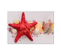 Tulup Splashback 39.37x27.56 inch / 100x70 cm Toughened Safe Glass Wall Protection Kitchen Splash back Glass Panel Protection Induction Cooker Kitchen Panel Tempered Glass - Red - starfish shells