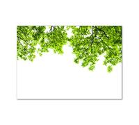 Tulup Splashback 39.37x27.56 inch / 100x70 cm Wall Protection Kitchen Panel Toughened Safe Glass Kitchen Protection Induction Cooker Glass Panel Splash back Tempered Glass - Green - oak leaves