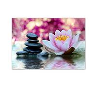 Tulup Splashback 39.37x27.56 inch / 100x70 cm Wall Protection Kitchen Panel Toughened Safe Glass Kitchen Protection Induction Cooker Glass Panel Splash back Tempered Glass - Pink - water lily