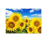 Tulup Splashback 39.37x27.56 inch / 100x70 cm Wall Protection Kitchen Panel Toughened Safe Glass Kitchen Protection Induction Cooker Glass Panel Splash back Tempered Glass - Yellow - sunflowers