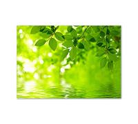 Tulup Splashback 39.37x27.56 inch / 100x70 cm Wall Protection Kitchen Panel Toughened Safe Glass Kitchen Protection Induction Cooker Glass Panel Splash back Tempered Glass - Green - green leaves