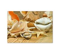 Tulup Splashback 39.37x27.56 inch / 100x70 cm Wall Protection Tempered Glass Kitchen Panel Toughened Safe Glass Panel Protection Induction Cooker Kitchen Splash back - Beige - shells on wood