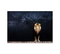 Tulup Splashback 39.37x27.56 inch / 100x70 cm Wall Protection Toughened Safe Glass Splash back Kitchen Panel Tempered Glass Kitchen Protection Induction Cooker Glass Panel - Brown - Lion Stars