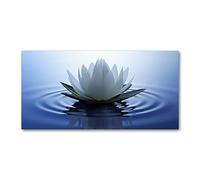 Tulup Splashback 47.24x23.62 inch / 120x60 cm Glass Panel Wall Protection Induction Cooker Tempered Glass Toughened Safe Glass Kitchen Panel Splash back Kitchen - Blue - water lily