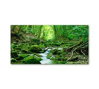 Tulup Splashback 47.24x23.62 inch / 120x60 cm Glass Panel Wall Protection Induction Cooker Tempered Glass Toughened Safe Glass Kitchen Panel Splash back Kitchen - Green - Bach in the forest