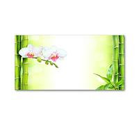Tulup Splashback 47.24x23.62 inch / 120x60 cm Kitchen Protection Induction Cooker Wall Protection Glass Panel Tempered Glass Toughened Safe Glass Kitchen Panel Splash back - Green - Orchid Bamboo