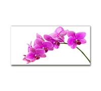 Tulup Splashback 47.24x23.62 inch / 120x60 cm Kitchen Protection Induction Cooker Wall Protection Glass Panel Tempered Glass Toughened Safe Glass Kitchen Panel Splash back - Rosa - Pink orchid