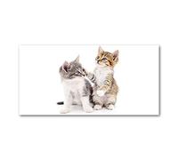 Tulup Splashback 47.24x23.62 inch / 120x60 cm Tempered Glass Wall Protection Induction Cooker Glass Panel Splash back Kitchen Panel Kitchen Toughened Safe Glass - Beige - two little cats