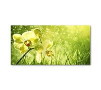Tulup Splashback 47.24x23.62 inch / 120x60 cm Tempered Glass Wall Protection Induction Cooker Glass Panel Splash back Kitchen Panel Kitchen Toughened Safe Glass - Green - Orchid