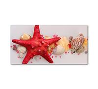 Tulup Splashback 47.24x23.62 inch / 120x60 cm Toughened Safe Glass Wall Protection Kitchen Splash back Glass Panel Protection Induction Cooker Kitchen Panel Tempered Glass - Red - starfish shells