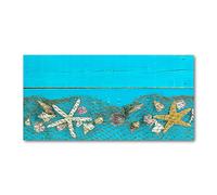 Tulup Splashback 47.24x23.62 inch / 120x60 cm Toughened Safe Glass Wall Protection Kitchen Splash back Glass Panel Protection Induction Cooker Kitchen Panel Tempered Glass - Blue - starfish shells