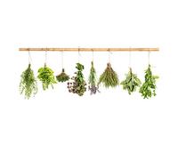 Tulup Splashback 47.24x23.62 inch / 120x60 cm Wall Protection Glass Panel Kitchen Panel Splash back Kitchen Protection Induction Cooker Tempered Glass Toughened Safe Glass - Green - herbs on string