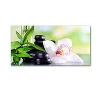 Tulup Splashback 47.24x23.62 inch / 120x60 cm Wall Protection Glass Panel Kitchen Panel Splash back Kitchen Protection Induction Cooker Tempered Glass Toughened Safe Glass - Green - Orchid