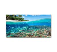 Tulup Splashback 47.24x23.62 inch / 120x60 cm Wall Protection Tempered Glass Kitchen Panel Toughened Safe Glass Panel Protection Induction Cooker Kitchen Splash back - Blue - coral reef