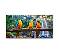 Tulup Splashback 55.12x27.56 inch / 140x70 cm Glass Panel Tempered Glass Kitchen Panel Splash back Kitchen Protection Induction Cooker Wall Protection Toughened Safe Glass - Multicolored Parrots on AST