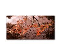 Tulup Splashback 55.12x27.56 inch / 140x70 cm Glass Panel Wall Protection Induction Cooker Tempered Glass Toughened Safe Glass Kitchen Panel Splash back Kitchen - Orange - leaves water