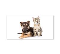 Tulup Splashback 55.12x27.56 inch / 140x70 cm Kitchen Protection Induction Cooker Wall Protection Glass Panel Tempered Glass Toughened Safe Glass Kitchen Panel Splash Back - Black - Dog and cat