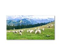 Tulup Splashback 55.12x27.56 inch / 140x70 cm Protection Induction Cooker Toughened Safe Glass Kitchen Kitchen Panel Wall Protection Tempered Glass Splash back Glass Panel - Green - sheep mountains Tatras