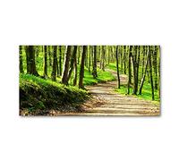 Tulup Splashback 55.12x27.56 inch / 140x70 cm Protection Induction Cooker Toughened Safe Glass Kitchen Kitchen Panel Wall Protection Tempered Glass Splash back Glass Panel - Green - path in the forest