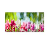 Tulup Splashback 55.12x27.56 inch / 140x70 cm Protection Induction Cooker Toughened Safe Glass Kitchen Kitchen Panel Wall Protection Tempered Glass Splash back Glass Panel - Pink tulips