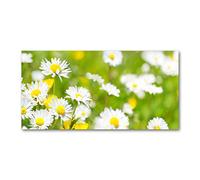 Tulup Splashback 55.12x27.56 inch / 140x70 cm Splash back Kitchen Panel Toughened Safe Glass Tempered Glass Panel Wall Protection Induction Cooker Kitchen - Green daisies